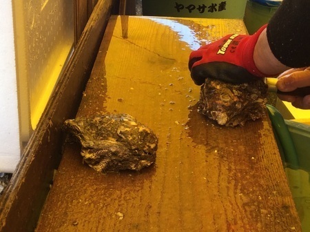 那珂湊ヤマサ水産岩牡蠣剥き